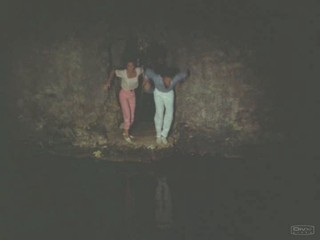 Remington Steele Puzzled Steele