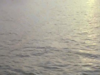 Remington Steele Puzzled Steele