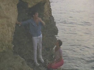 Remington Steele Puzzled Steele