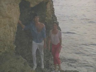 Remington Steele Puzzled Steele