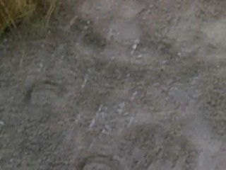 The Lost World - More than human