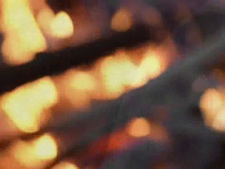 The Lost World - More than human