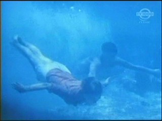 Beneath the 12-Mile Reef