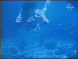 Beneath the 12-Mile Reef