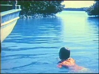 Beneath the 12-Mile Reef