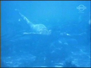 Beneath the 12-Mile Reef