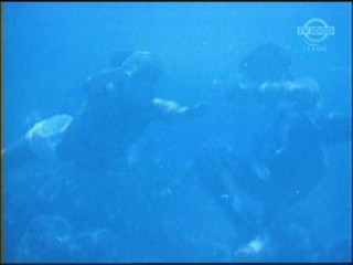 Beneath the 12-Mile Reef