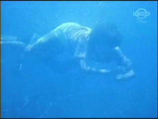 Beneath the 12-Mile Reef