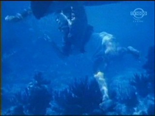 Beneath the 12-Mile Reef