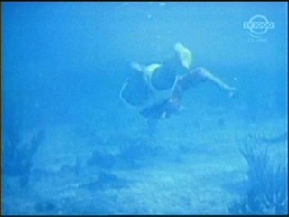 Beneath the 12-Mile Reef