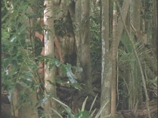 The Lost World - The Chosen One