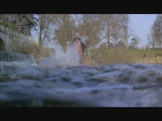 Omen III: The Final Conflict