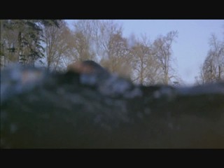 Omen III: The Final Conflict