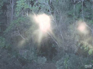 The Lost World - Stone Cold