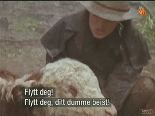 The Man from Snowy River 1