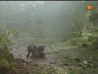 The Man from Snowy River 1