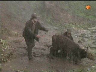 The Man from Snowy River 1