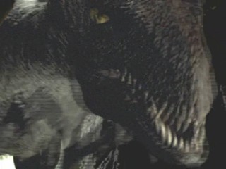 The Lost World - The Pirates' Curse