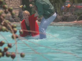 Remington Steele - Grappling Steele