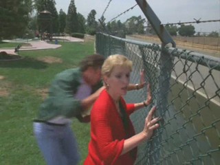 Remington Steele - Grappling Steele