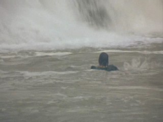 Remington Steele The Steel That Wouldn`t Die