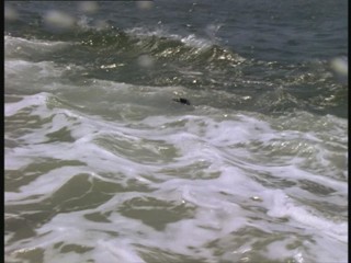 Water Rats - Eye for an Eye