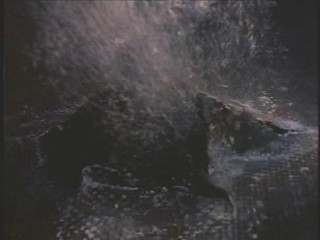 Baywatch - The Falcon Manifesto