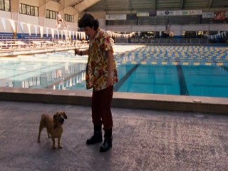 Ace Ventura  Pet Detective Jr.