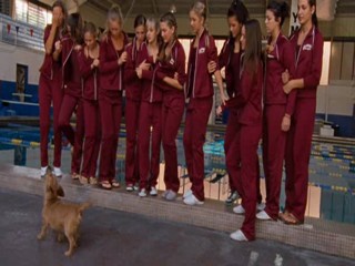 Ace Ventura  Pet Detective Jr.