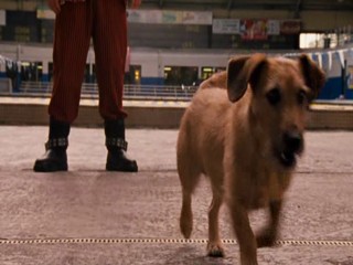 Ace Ventura  Pet Detective Jr.