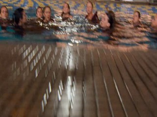 Ace Ventura  Pet Detective Jr.