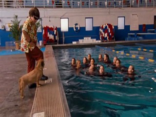 Ace Ventura  Pet Detective Jr.