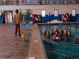 Ace Ventura  Pet Detective Jr.