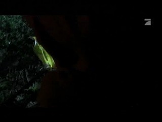 Klassenfahrt (2 scenes)