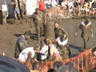 Pig Wrestling - 2006 Thresheree