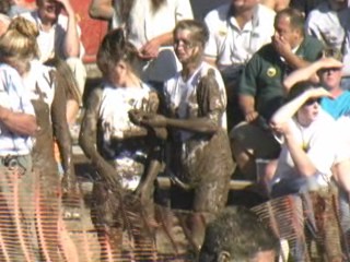 Pig Wrestling - 2006 Thresheree