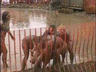 Pig Wrestling - 2007 Thresheree : Episode 1