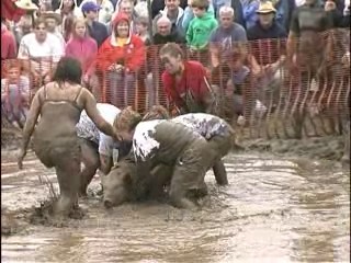 Pig Wrestling - 2007 Thresheree : Episode 2