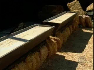 Big Brother All Stars (America)