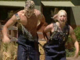 Big Brother All Stars (America)