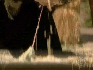 Big Brother All Stars (America)