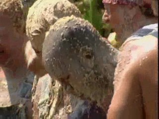 Big Brother All Stars (America)