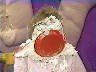 Another WWYD Pie Pod