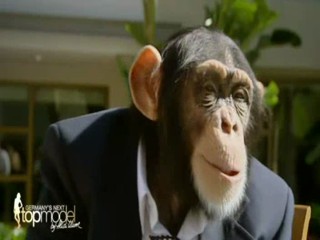 Germanyâ€™s Next Top Model