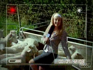 Power Rangers - Dino Thunder