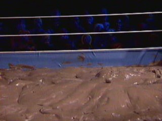 Celebrity Deathmatch Fandemonium (anime)