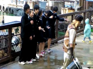 Universal Studios Japan Water World