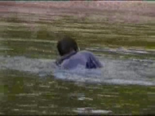 Amateur/ Wetlook, Jeans