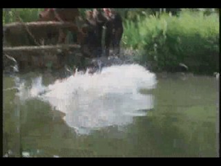 Robin Of Sherwood log fight