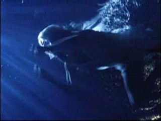 Walk Away And I Stumble